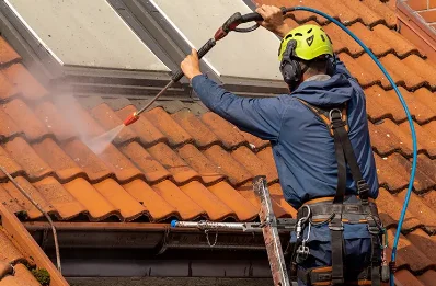 Démoussage et hydrofuge de toiture à Riorges